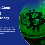 Crypto30x.Com Everything Cryptocurrency Guide What and Why It Works and the Risk.